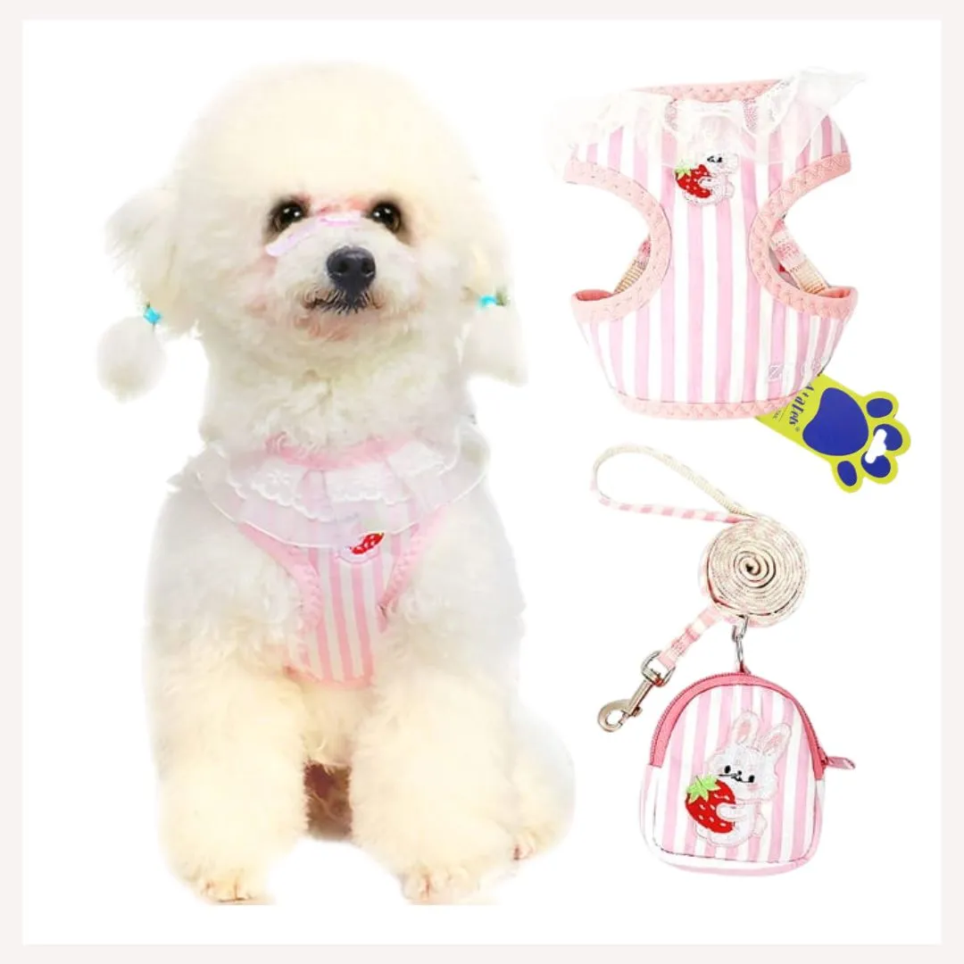 A a Pets' Combo of 3 BackPack Harness, Leash & Bag Set - Stripes