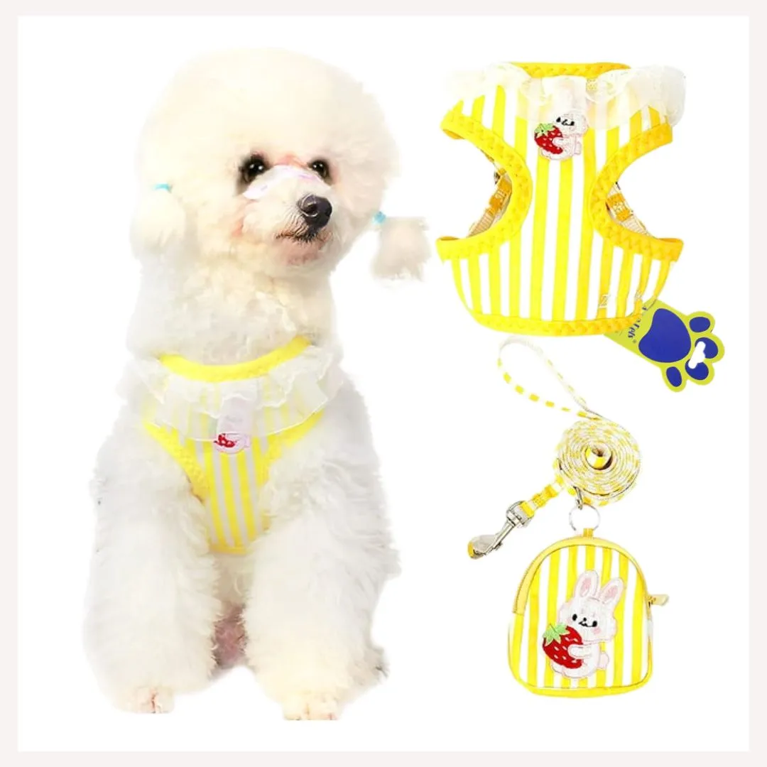 A a Pets' Combo of 3 BackPack Harness, Leash & Bag Set - Stripes