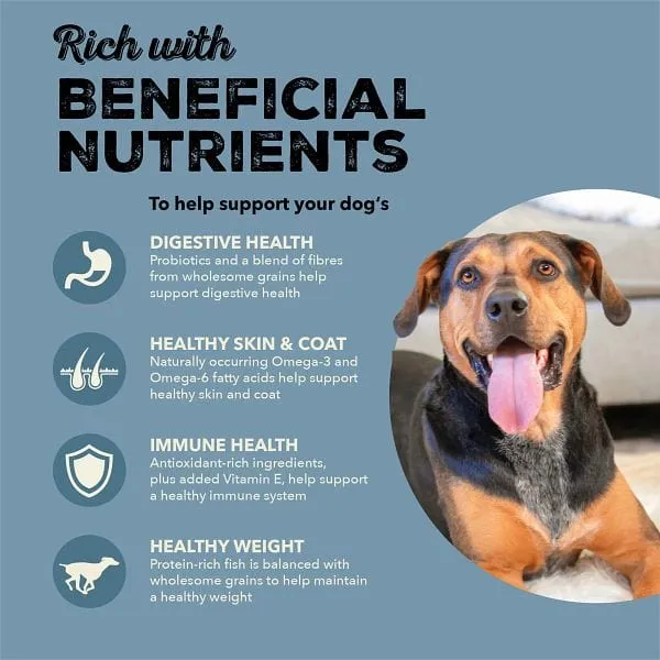 ACANA Healthy Grains Sea to Stream Recipe Dry Dog Food