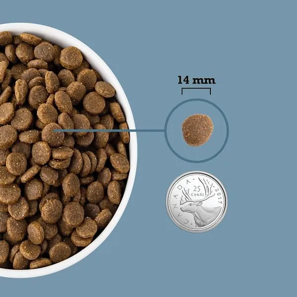 ACANA Healthy Grains Sea to Stream Recipe Dry Dog Food
