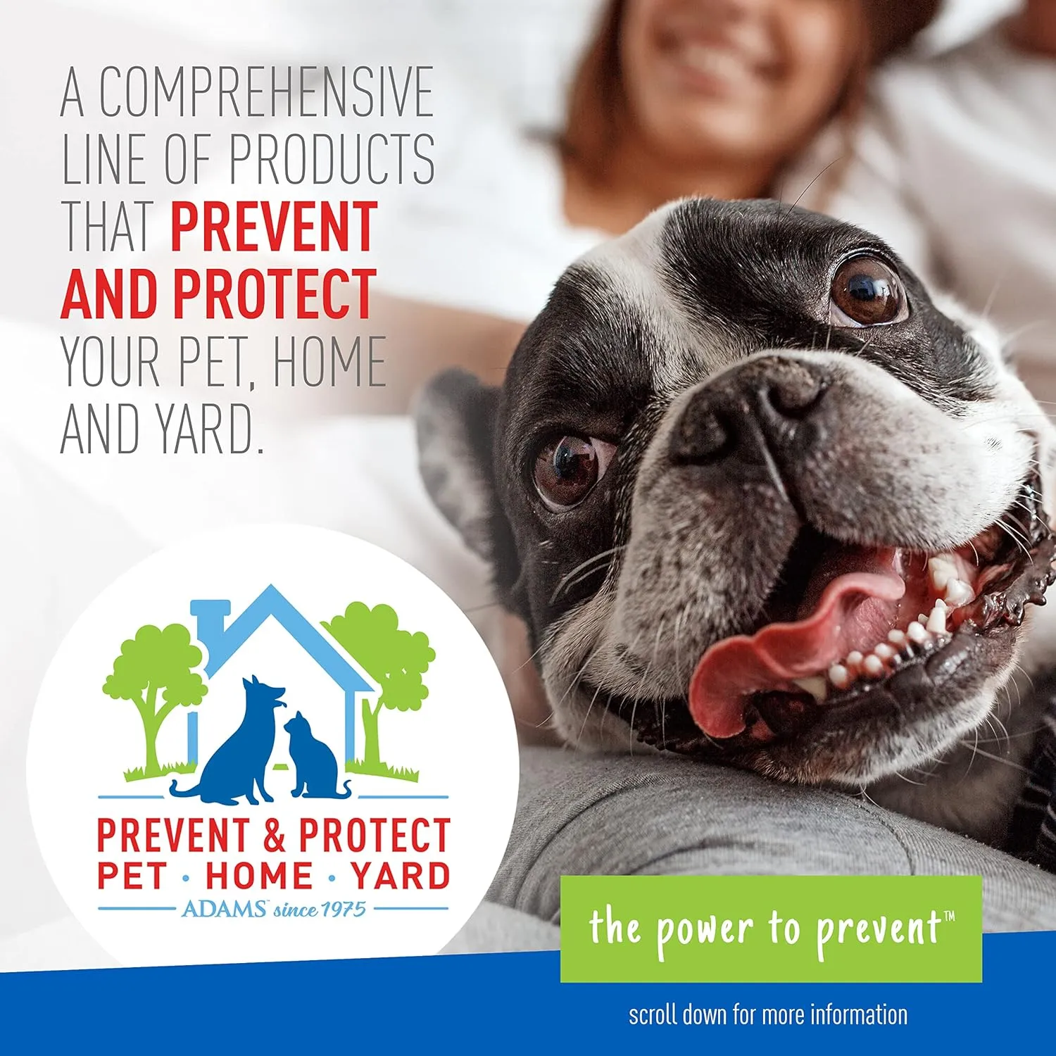 Adams Plus Flea & Tick Carpet Spray, 16 oz