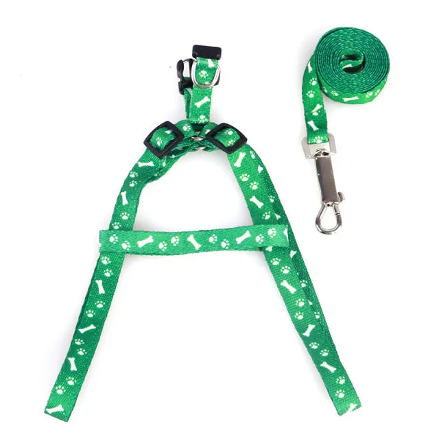 Adjustable Harness Set Leash Printed