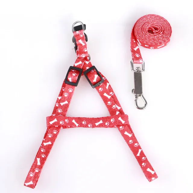 Adjustable Harness Set Leash Printed