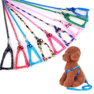 Adjustable Harness Set Leash Printed