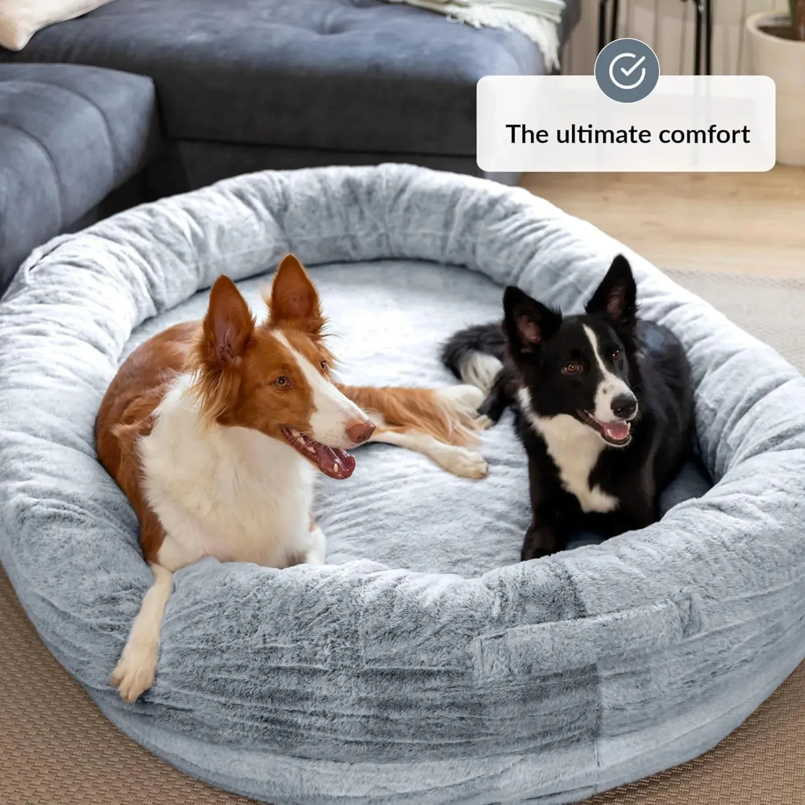 AiroPaws™ US Dog Bed Mat for Pets | Human-Sized Pet Bed | Bean Bag Dog Bed | 72x48x11 inches | Polyester with Detachable Cover | Brown