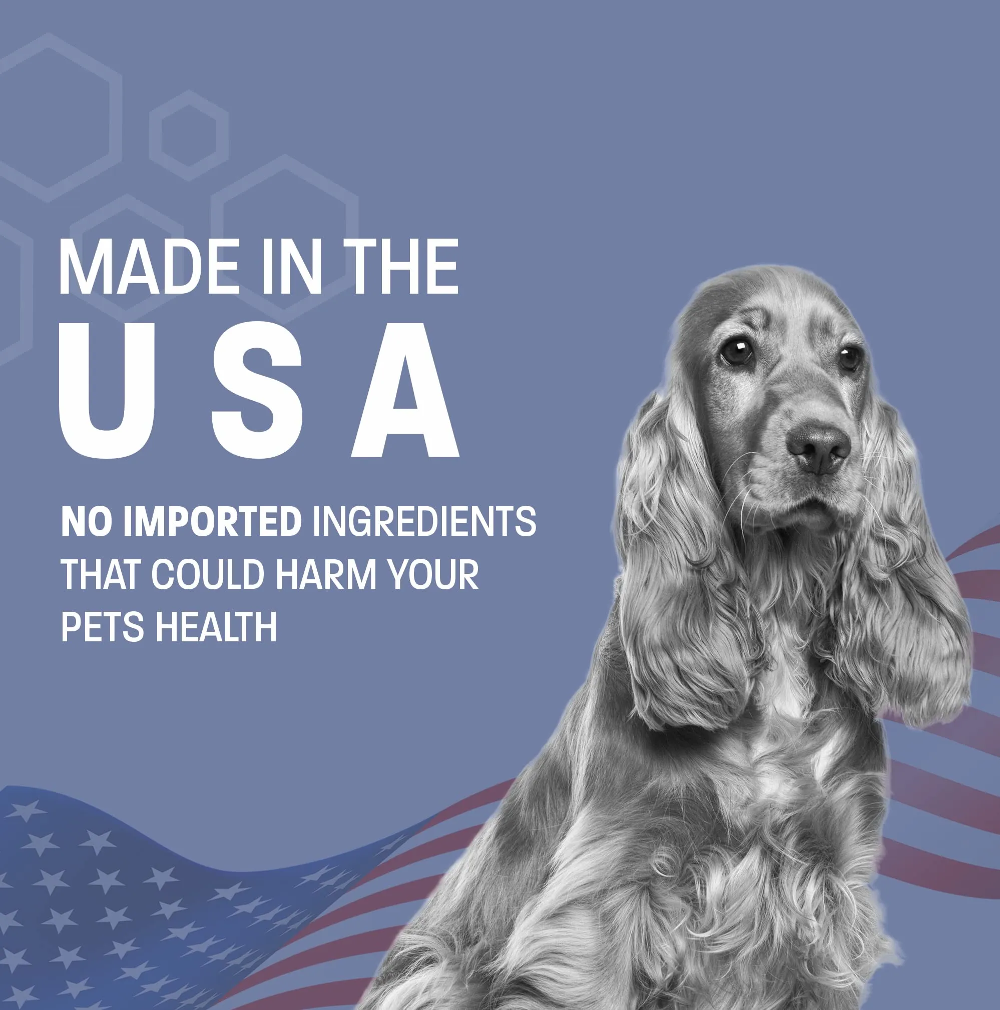 Antiseptic Flush for Cat & Dog Itch Relief