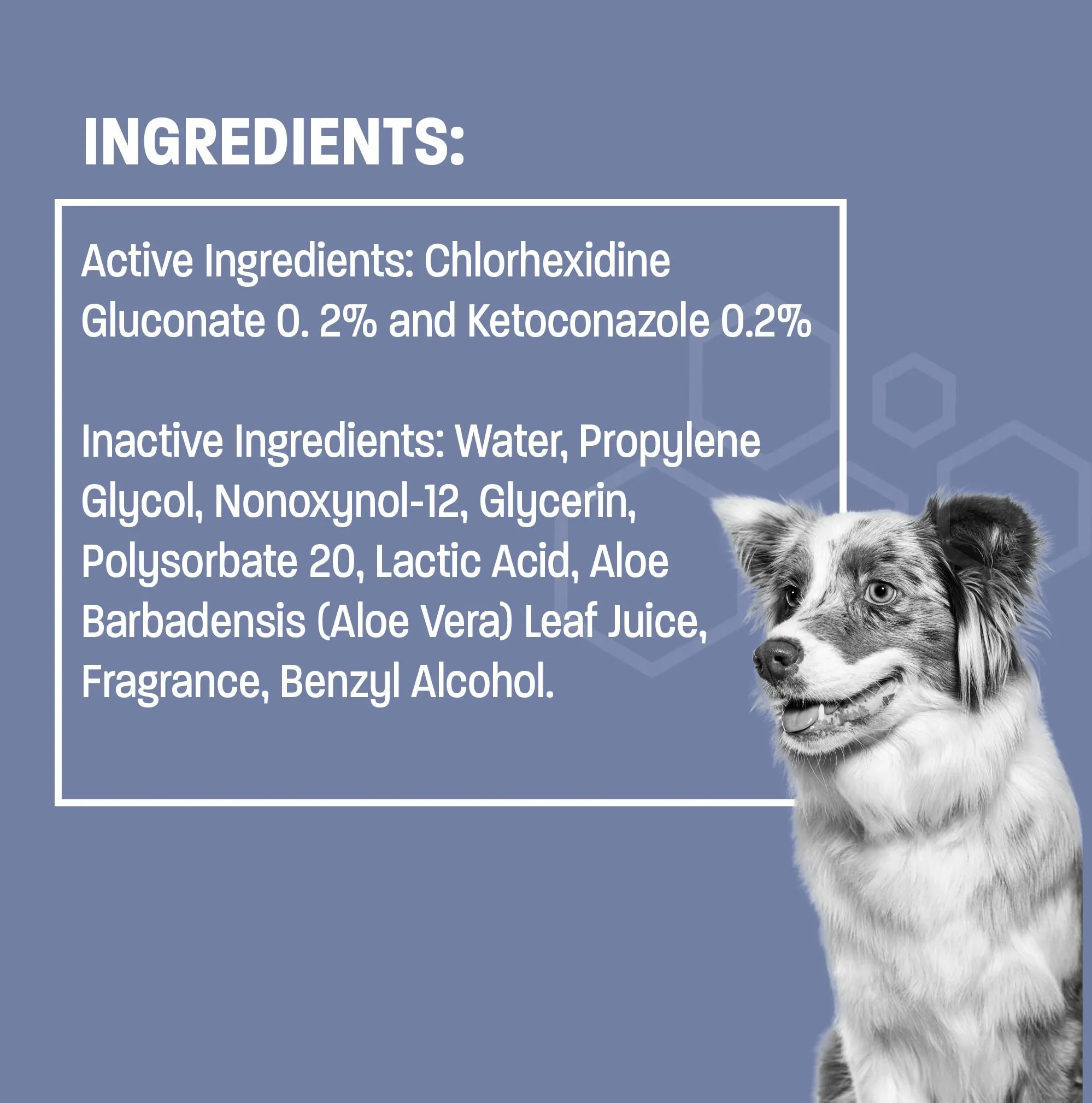 Antiseptic Flush for Cat & Dog Itch Relief