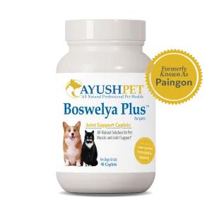 AYUSH BOSWELYA for musculoskeletal issues - 90 caplets