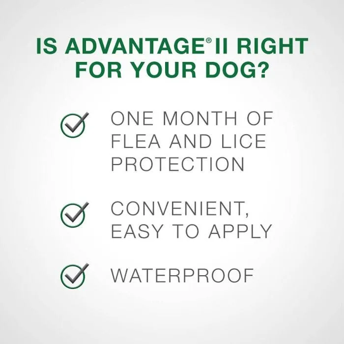 Bayer/Elanco - Advantage II - Topical Flea Treatment for Dogs (For Dogs Over 25kg)