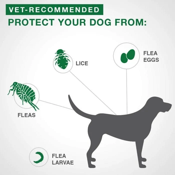 Bayer/Elanco - Advantage II - Topical Flea Treatment for Dogs (For Dogs Over 25kg)
