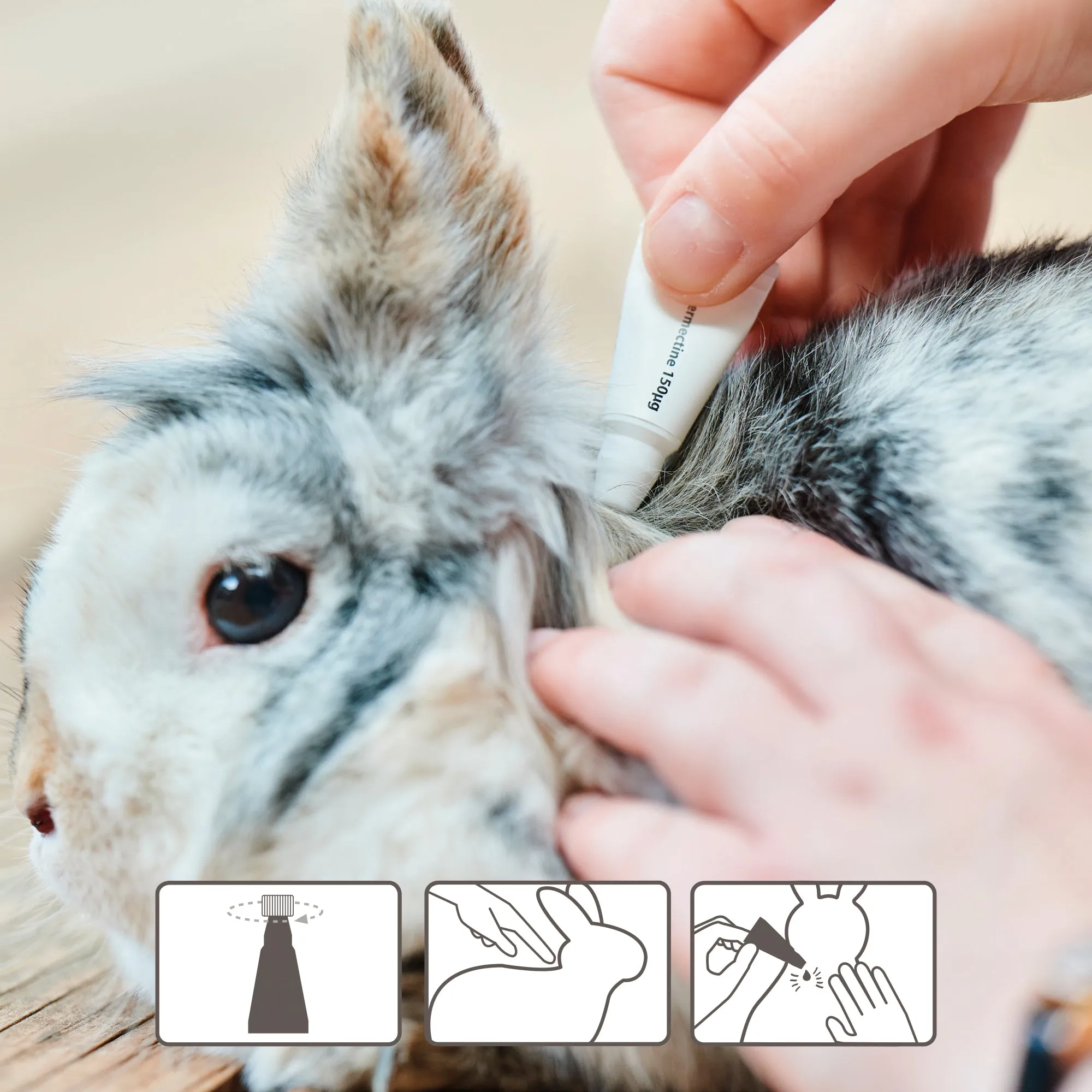 Beaphar | Small Pet Healthcare | Ivermectin Anti-Parasite Spot On (>300g)