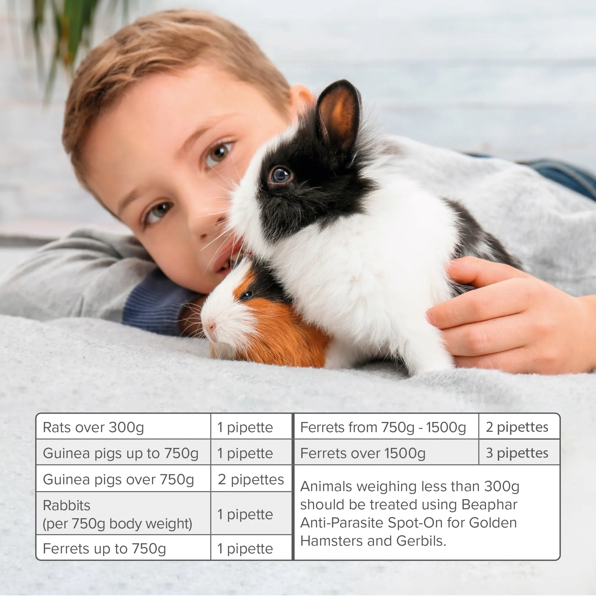 Beaphar | Small Pet Healthcare | Ivermectin Anti-Parasite Spot On (>300g)