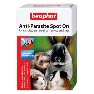 Beaphar | Small Pet Healthcare | Ivermectin Anti-Parasite Spot On (>300g)
