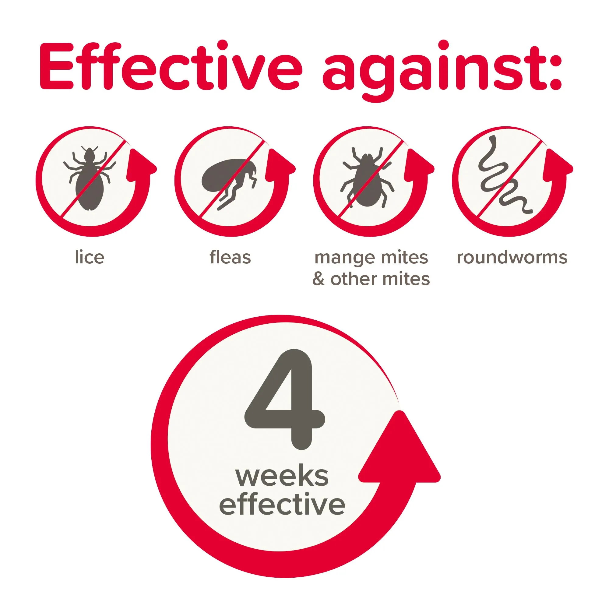 Beaphar | Small Pet Healthcare | Ivermectin Anti-Parasite Spot On (>300g)