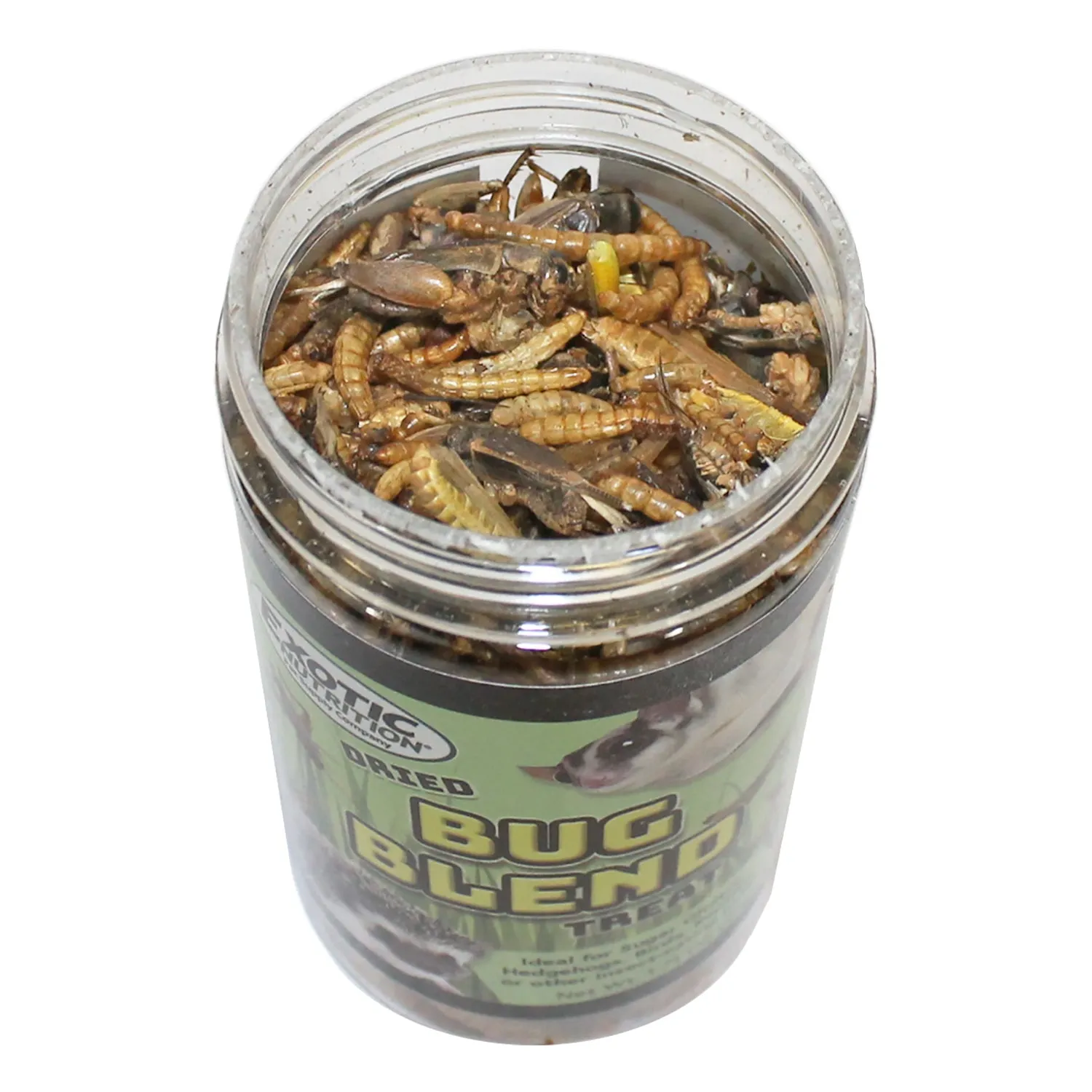 Bug Blend