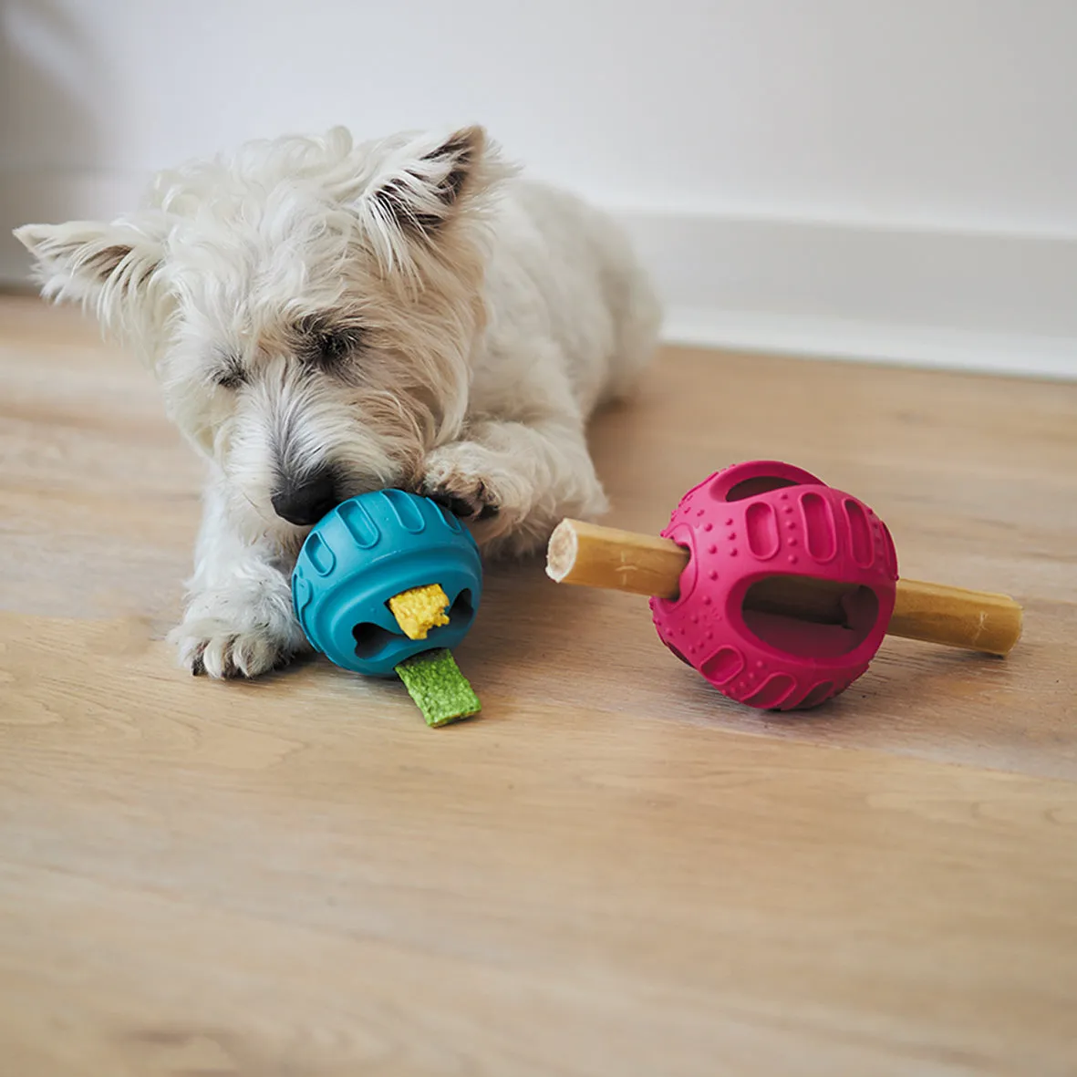 Chew & Treat Enrichment Dog Ball