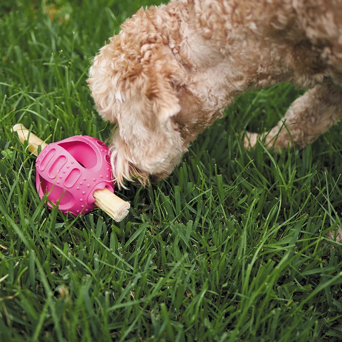 Chew & Treat Enrichment Dog Ball