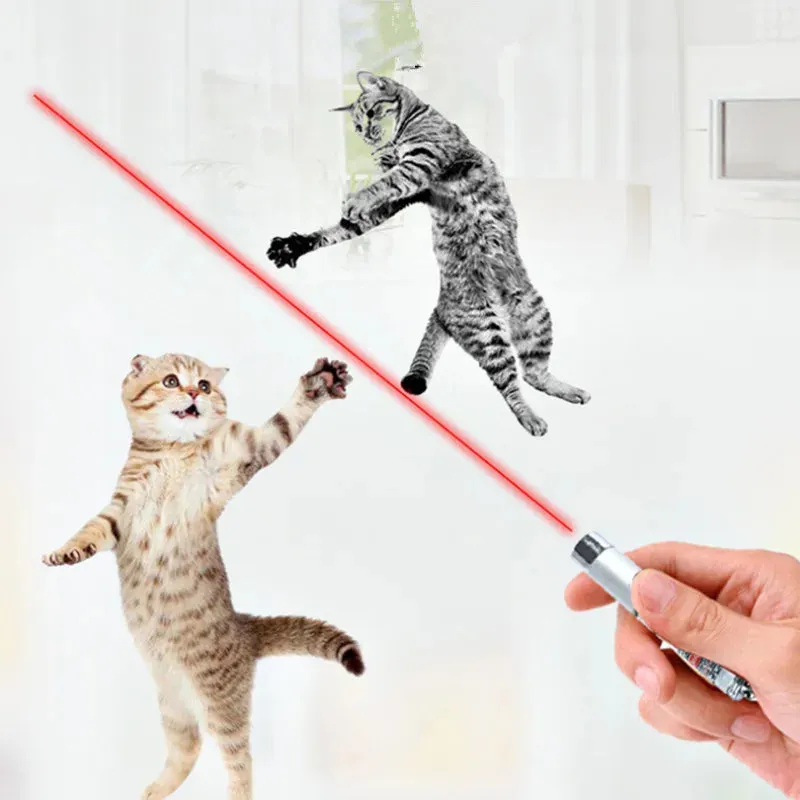 Cool 2-in-1 Laser Pointer & LED Cat Toy