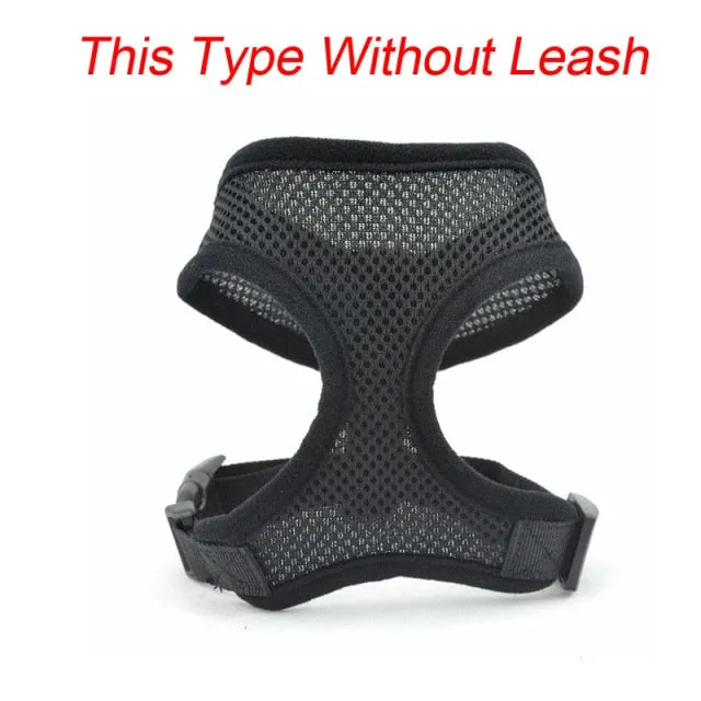 Dog Accessories Breathable Harness and Leash Set