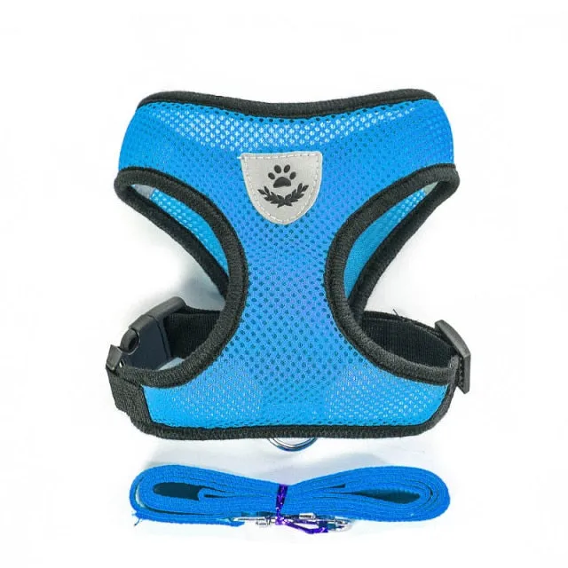Dog Accessories Breathable Harness and Leash Set