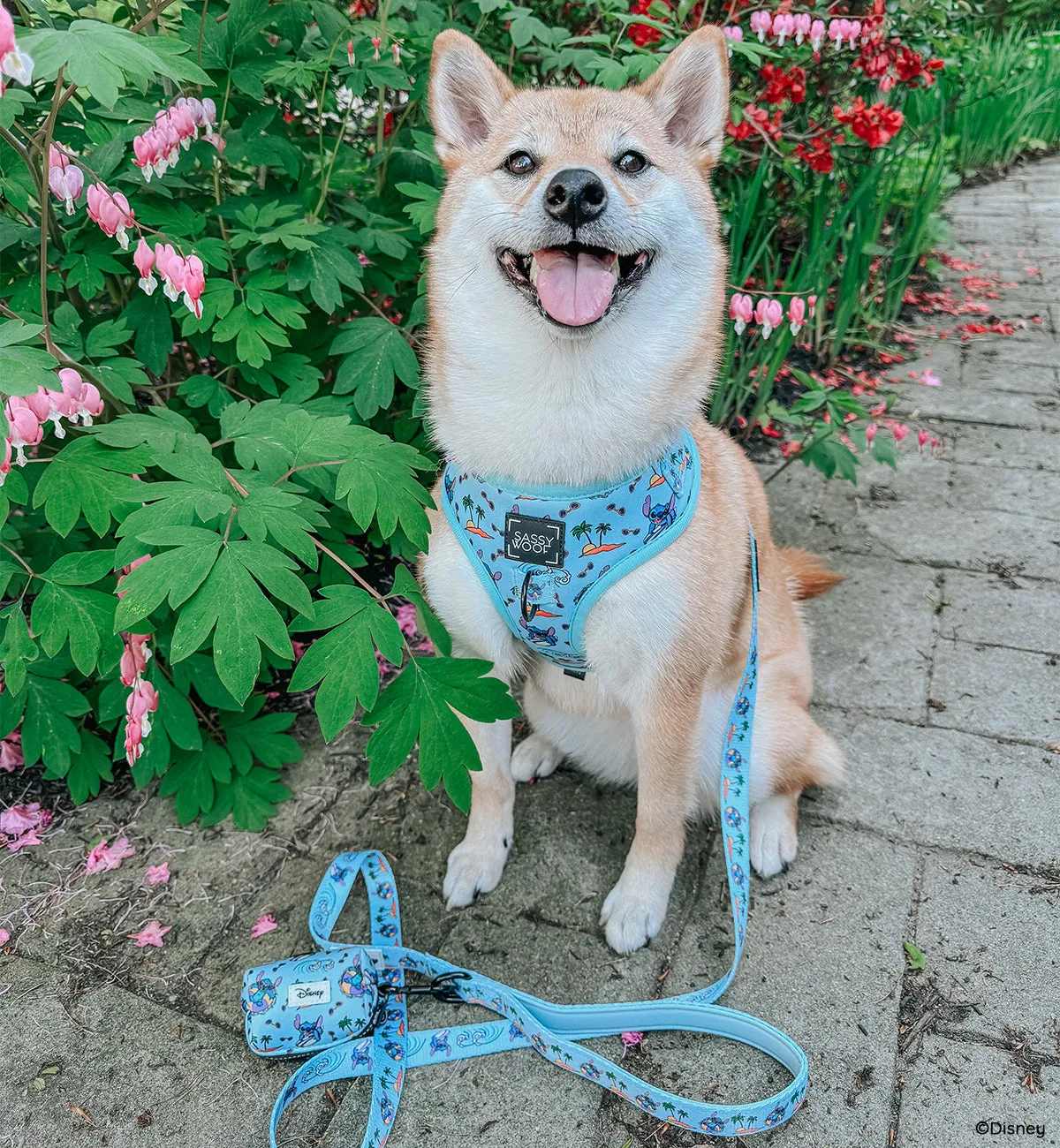Dog Four Piece Bundle - Disney's Stitch