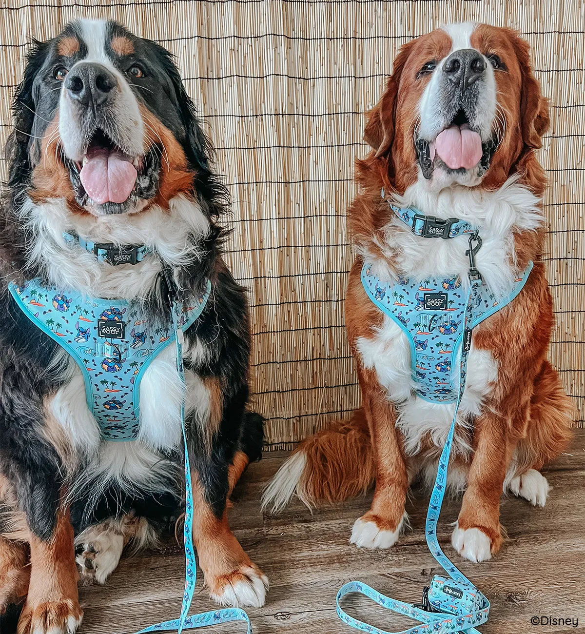 Dog Four Piece Bundle - Disney's Stitch