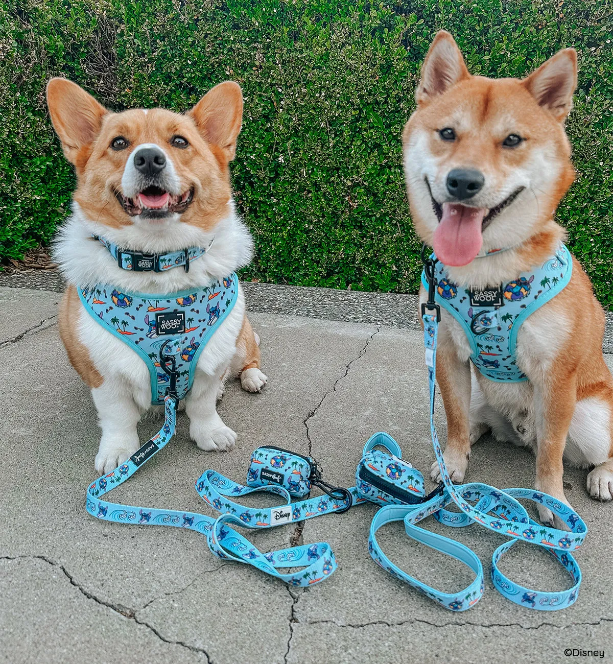 Dog Four Piece Bundle - Disney's Stitch