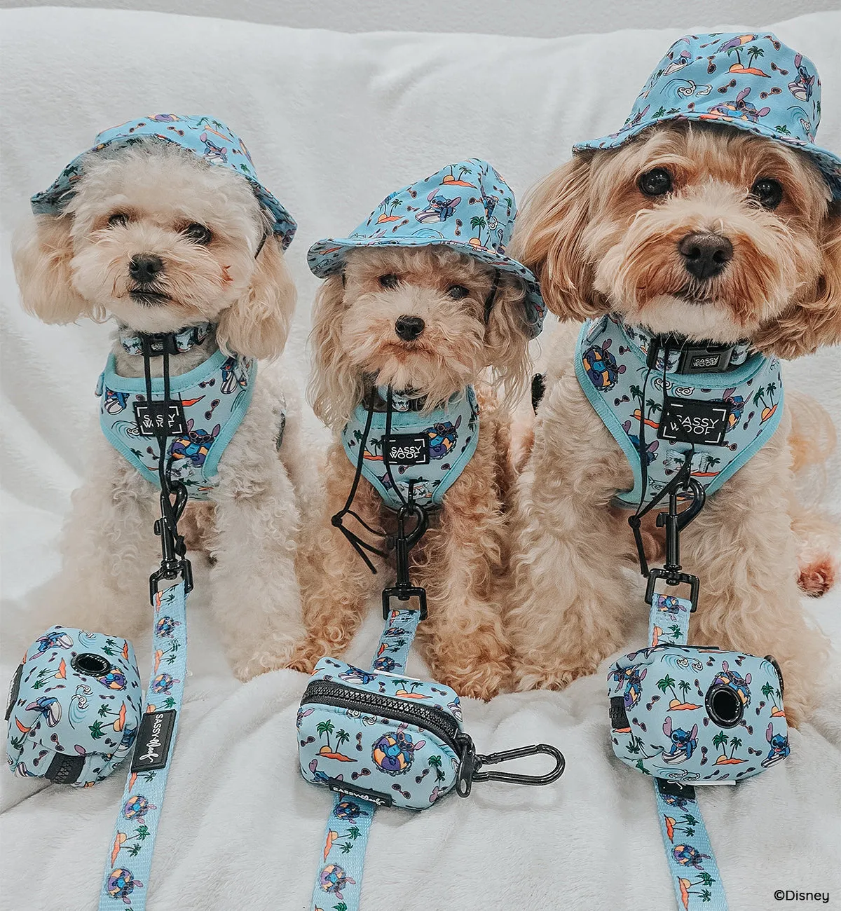 Dog Four Piece Bundle - Disney's Stitch