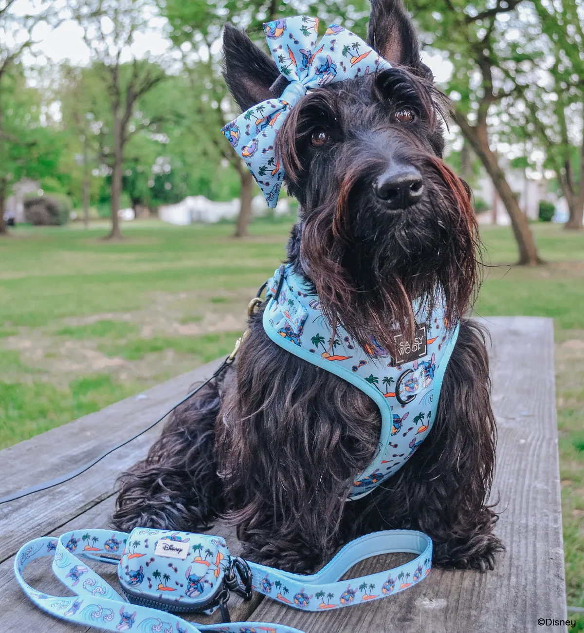 Dog Four Piece Bundle - Disney's Stitch