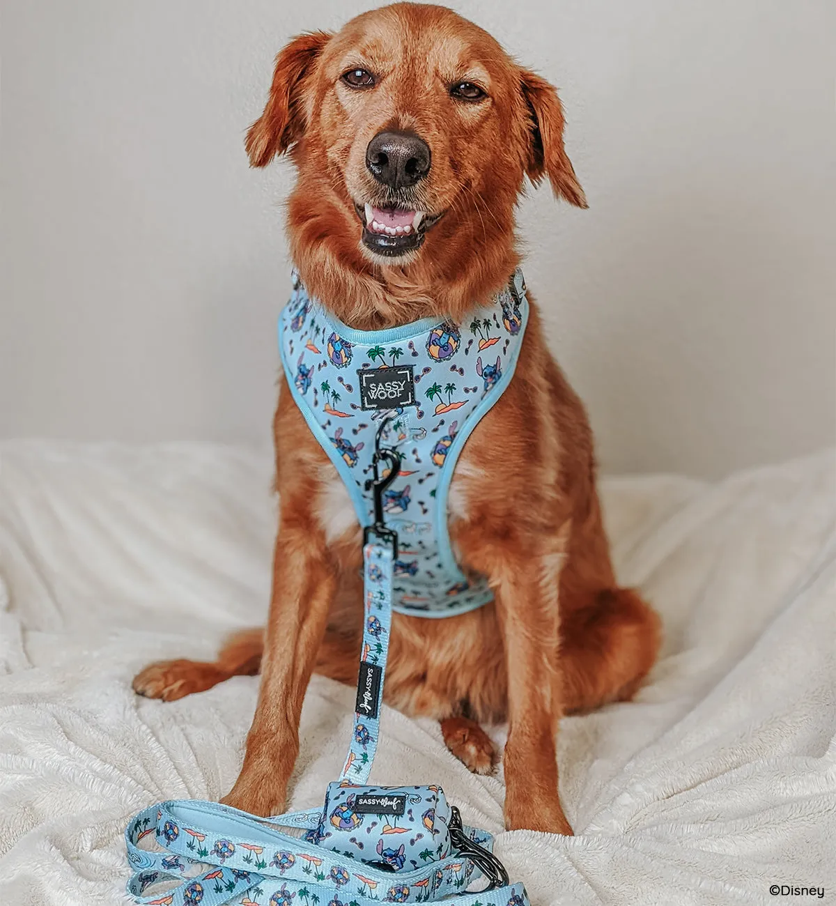 Dog Four Piece Bundle - Disney's Stitch