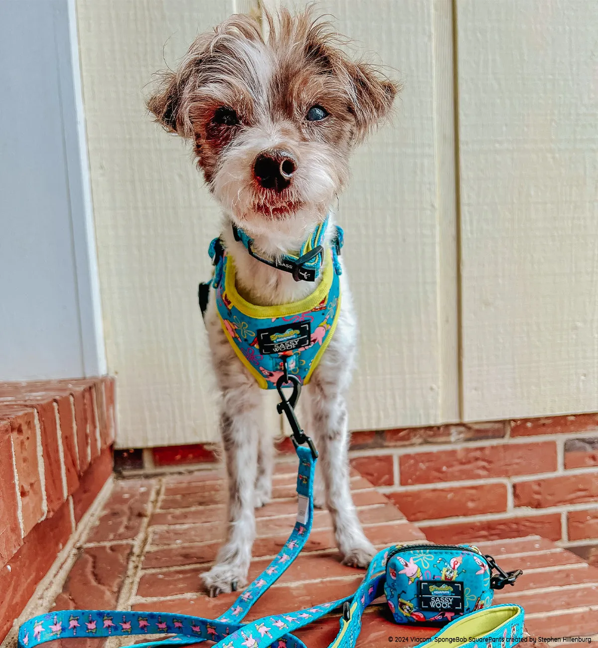 Dog Waste Bag Holder - SpongeBob SquarePants™ Jelly Fishin'