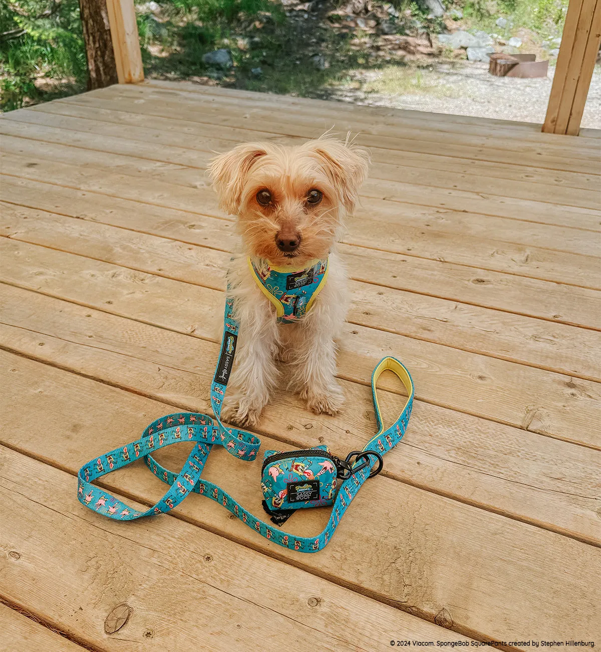 Dog Waste Bag Holder - SpongeBob SquarePants™ Jelly Fishin'