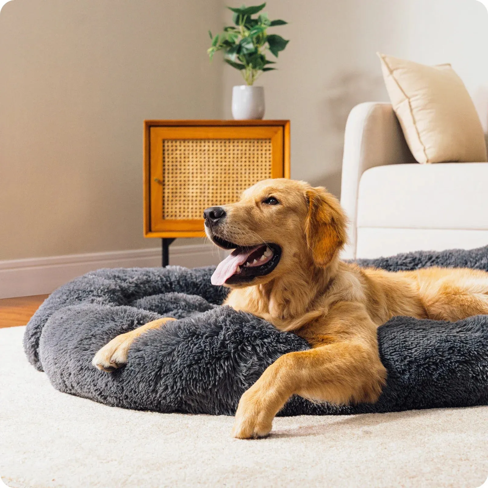 Fluffy Dog Bed XL – Warm Winter Pet Blanket, Portable and Washable Dog Sofa & Bed for Large Dogs