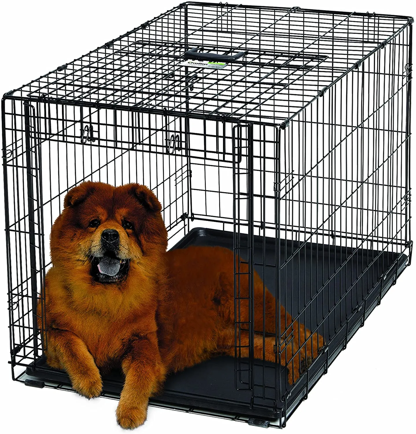 Folding Dog Crate - Ovation Single Door Crate with Up and Away Door