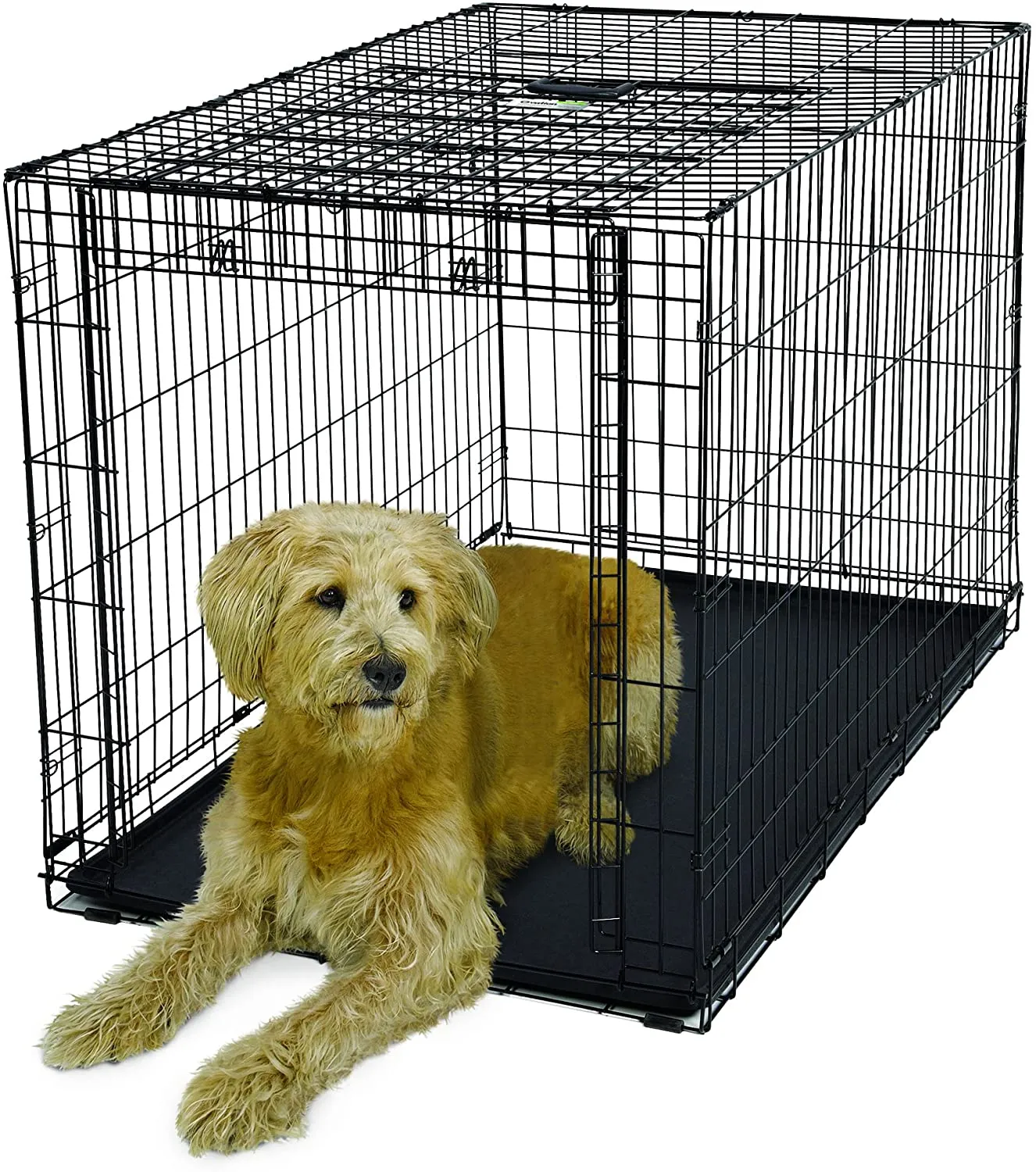 Folding Dog Crate - Ovation Single Door Crate with Up and Away Door