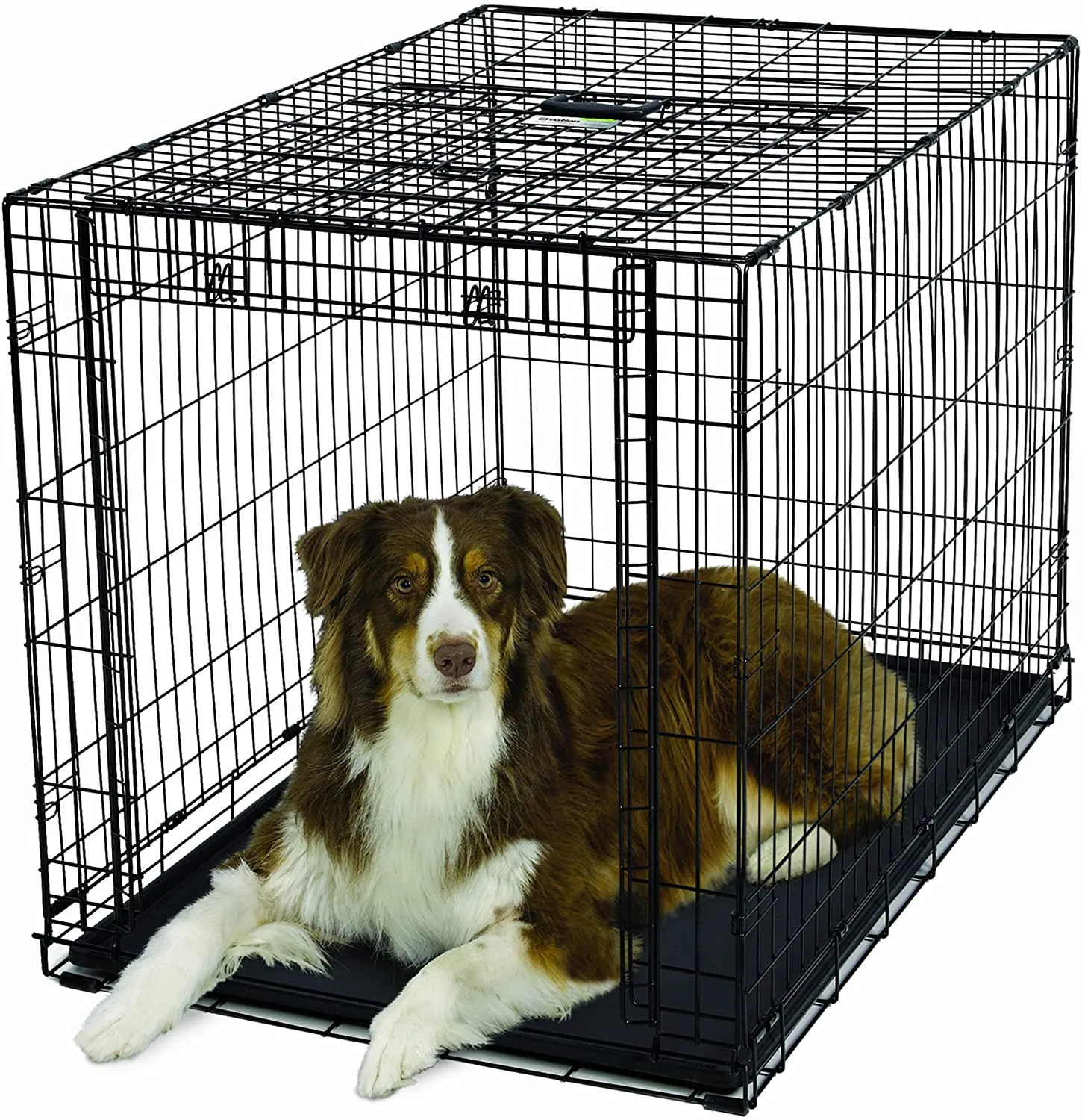 Folding Dog Crate - Ovation Single Door Crate with Up and Away Door