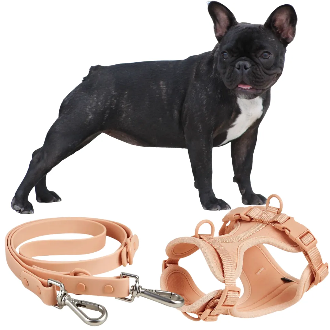 Frenchie Quick Release Harness Leash Set