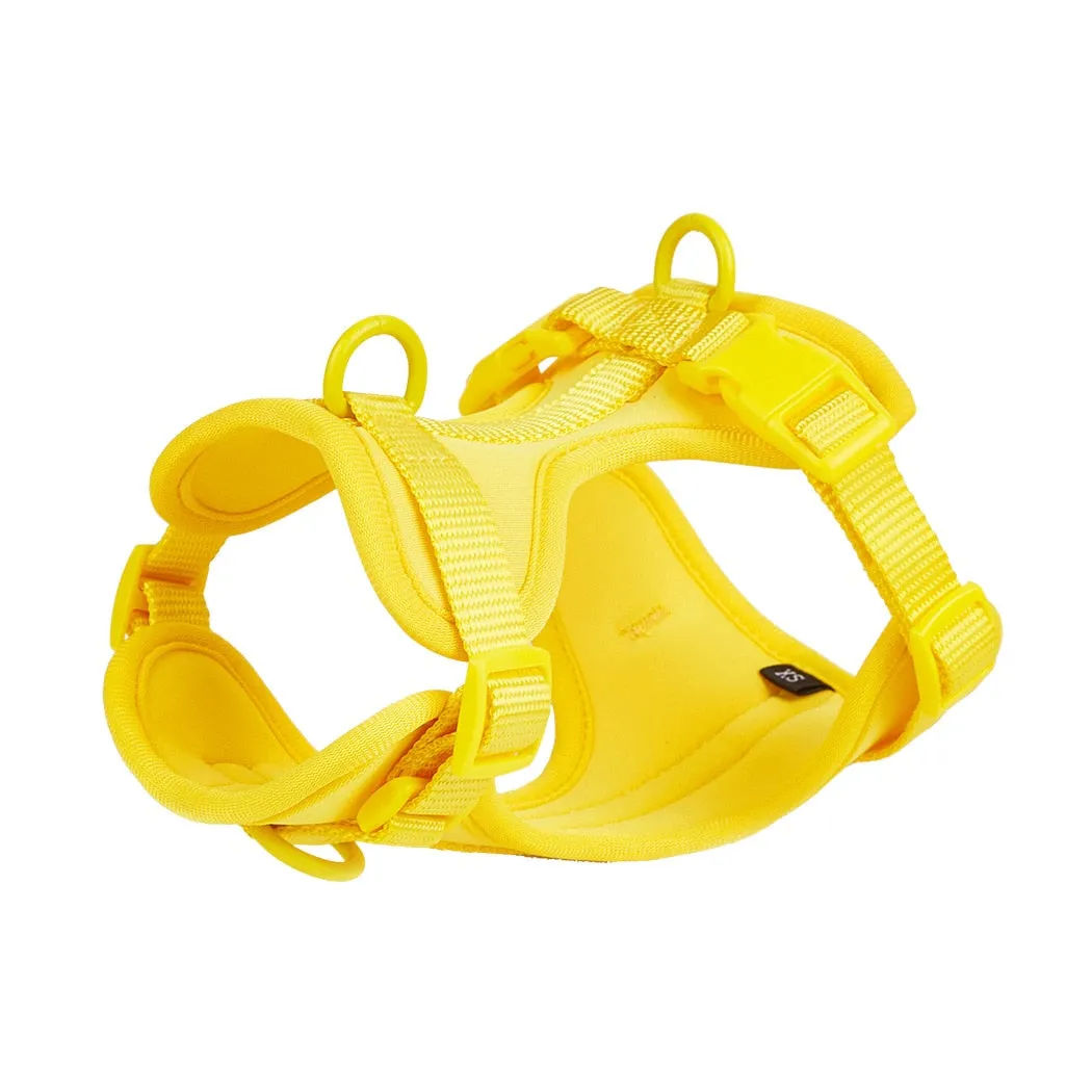 Frenchie Quick Release Harness Leash Set