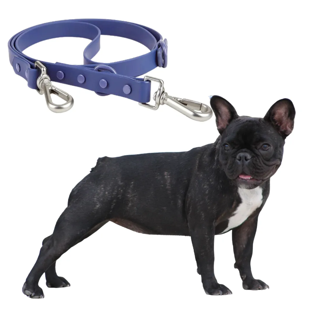Frenchie Quick Release Harness Leash Set