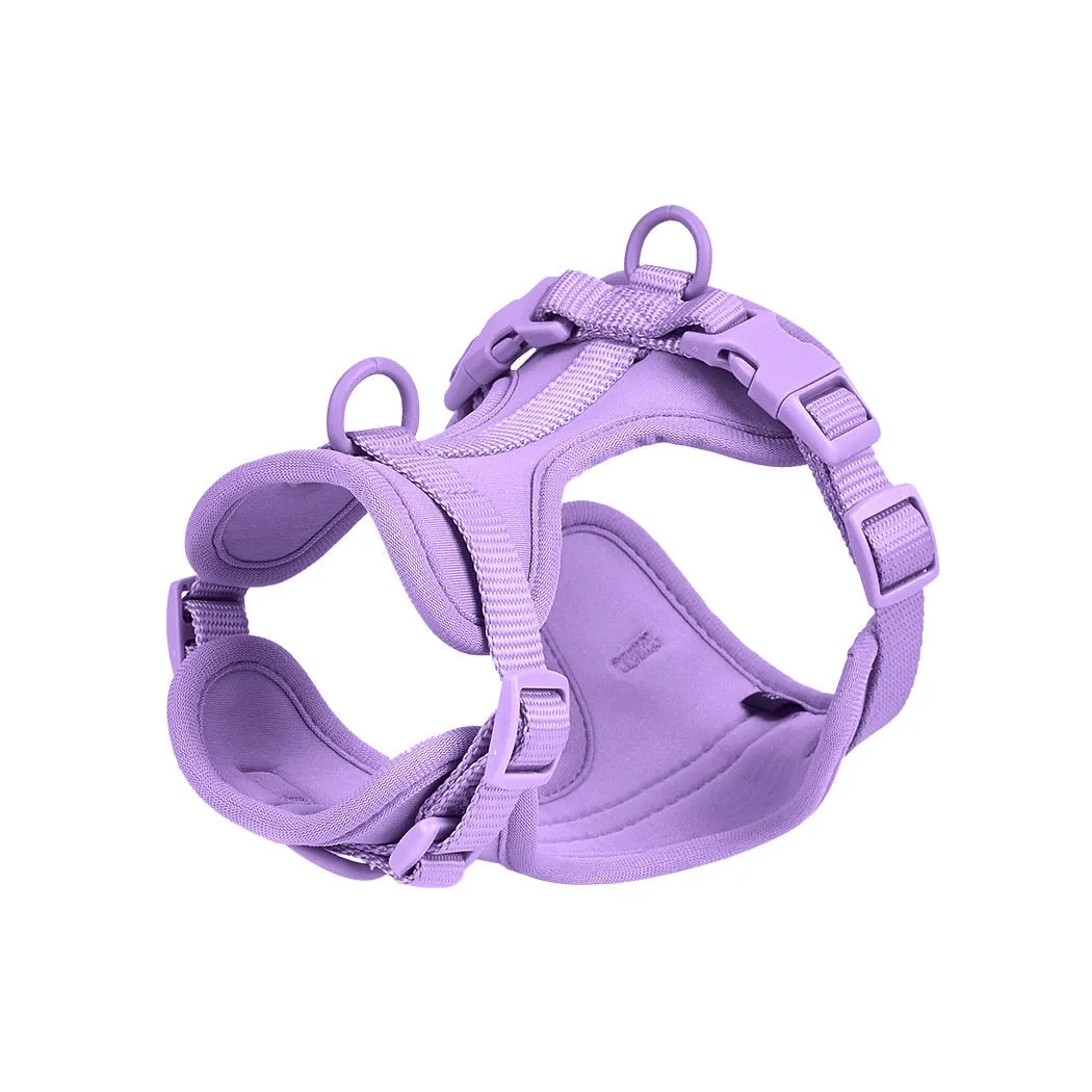 Frenchie Quick Release Harness Leash Set