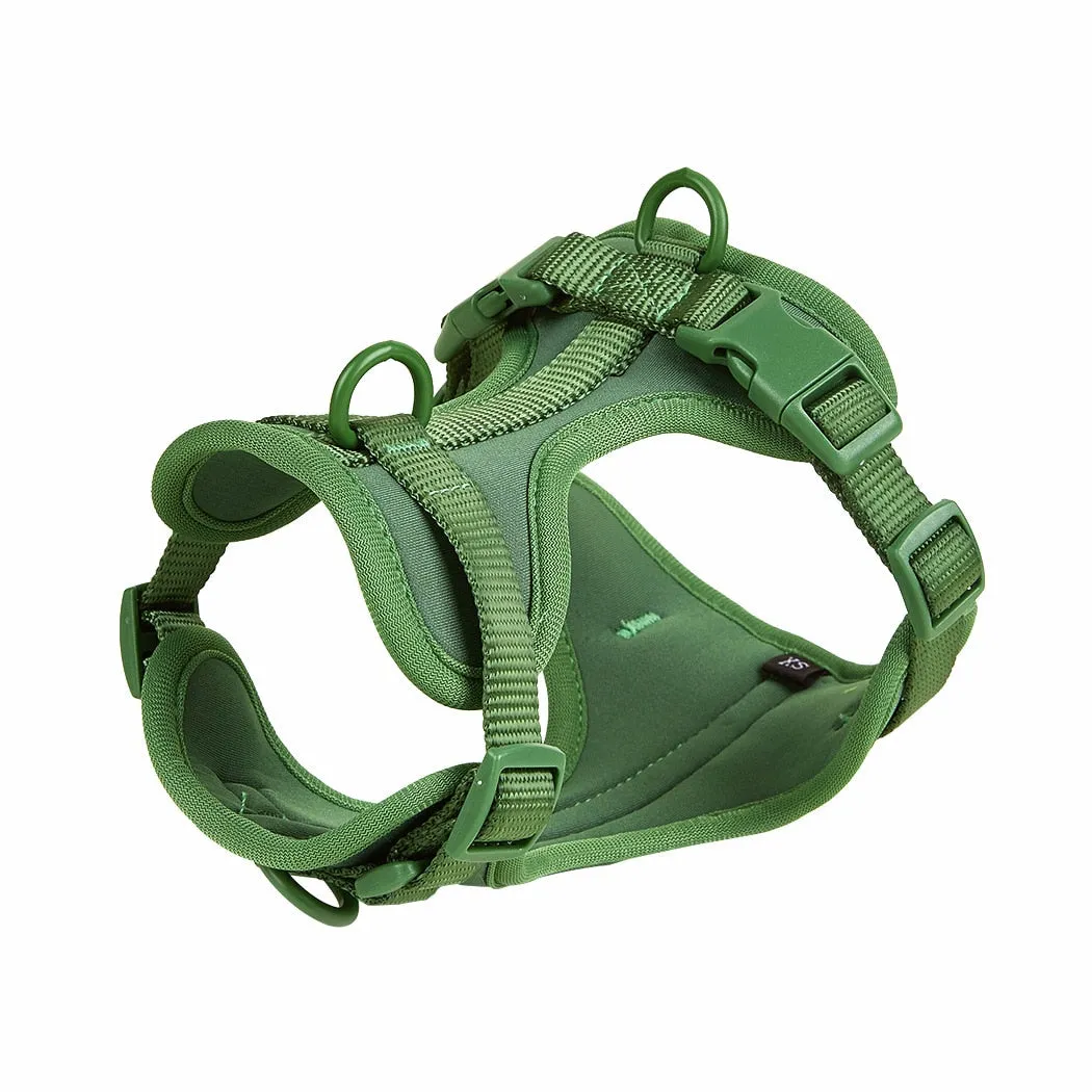 Frenchie Quick Release Harness Leash Set