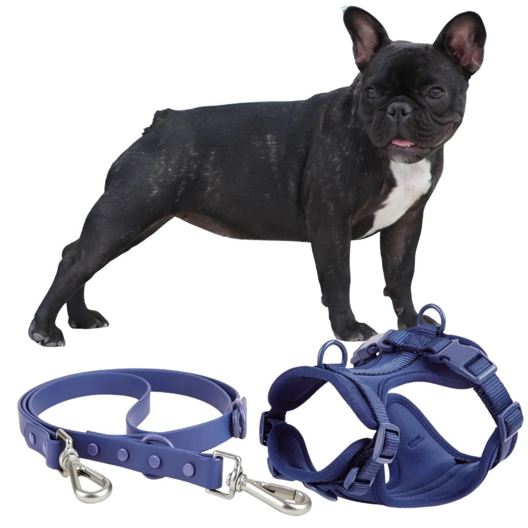 Frenchie Quick Release Harness Leash Set