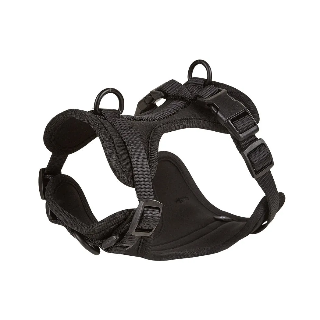 Frenchie Quick Release Harness Leash Set