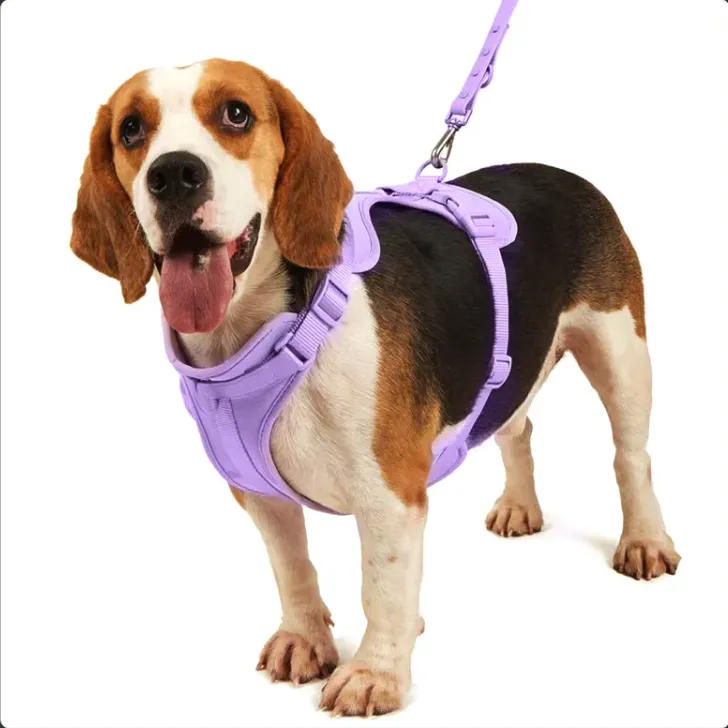 Frenchie Quick Release Harness Leash Set
