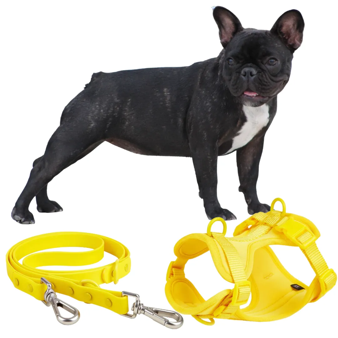 Frenchie Quick Release Harness Leash Set