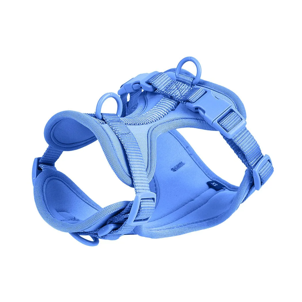 Frenchie Quick Release Harness Leash Set
