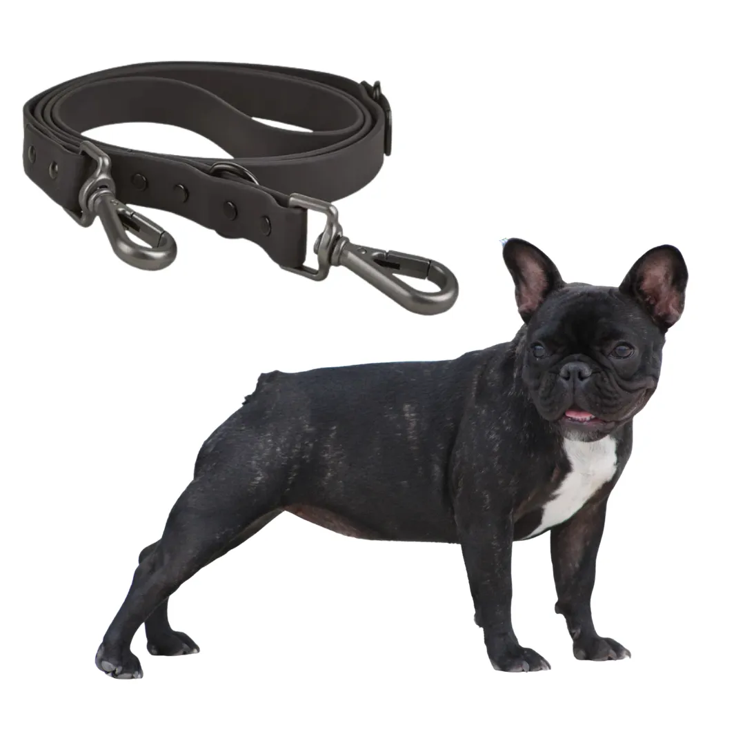 Frenchie Quick Release Harness Leash Set