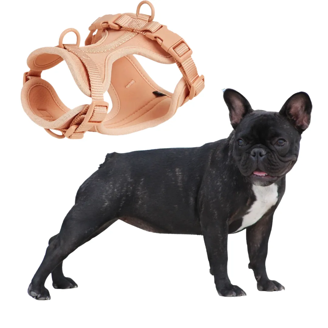 Frenchie Quick Release Harness Leash Set