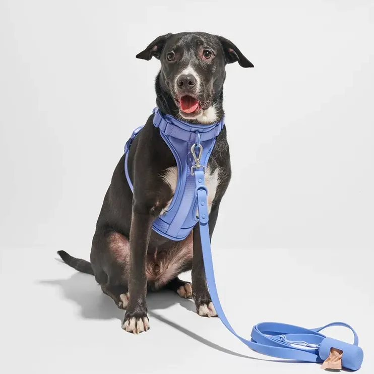 Frenchie Quick Release Harness Leash Set