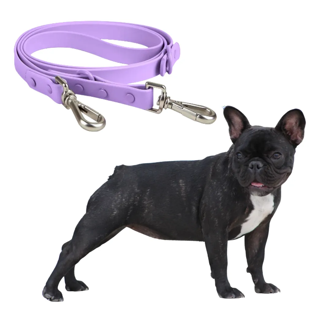 Frenchie Quick Release Harness Leash Set